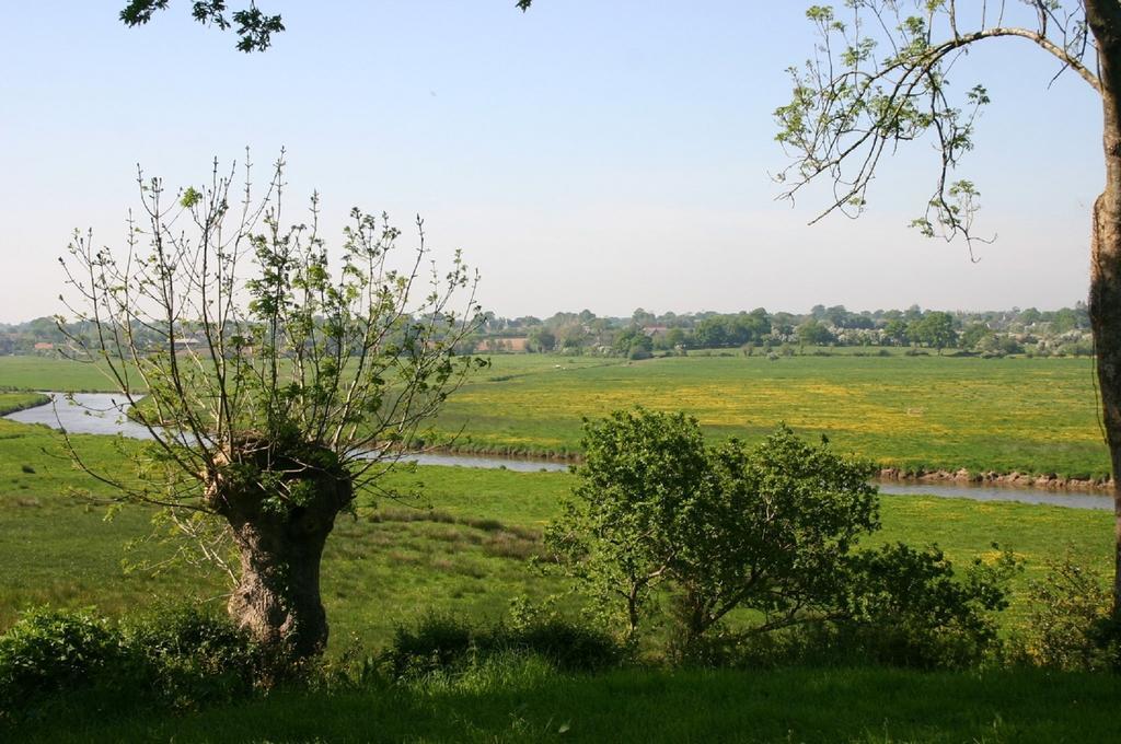 Gite Marguerite Les Moitiers-en-Bauptois Bagian luar foto