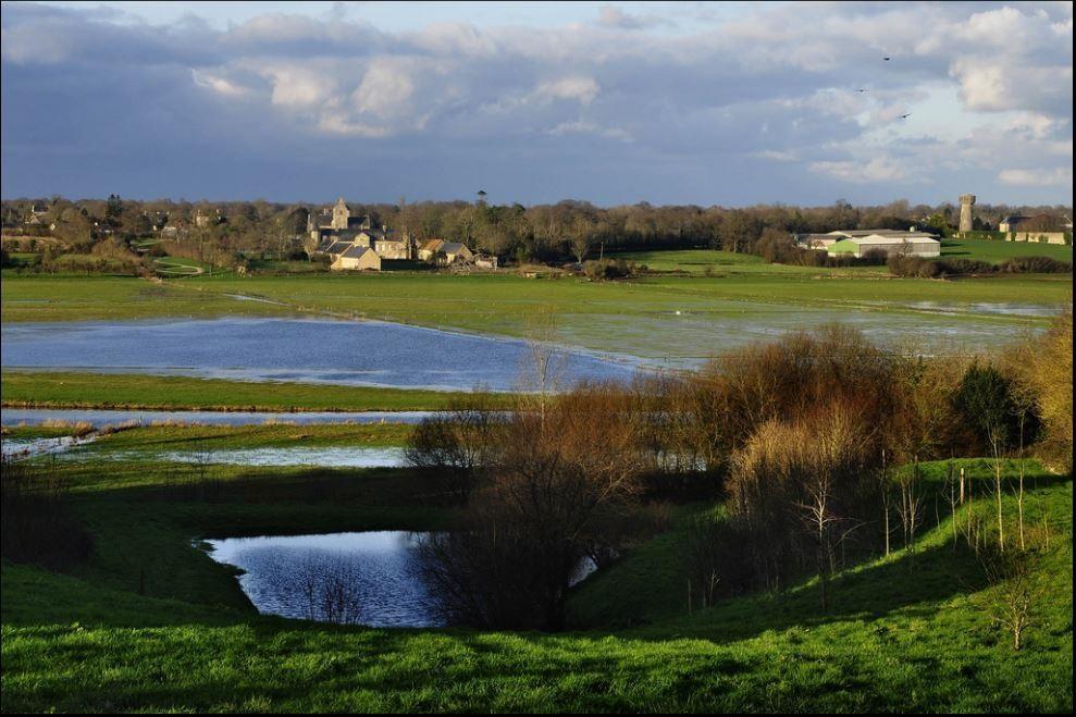 Gite Marguerite Les Moitiers-en-Bauptois Bagian luar foto